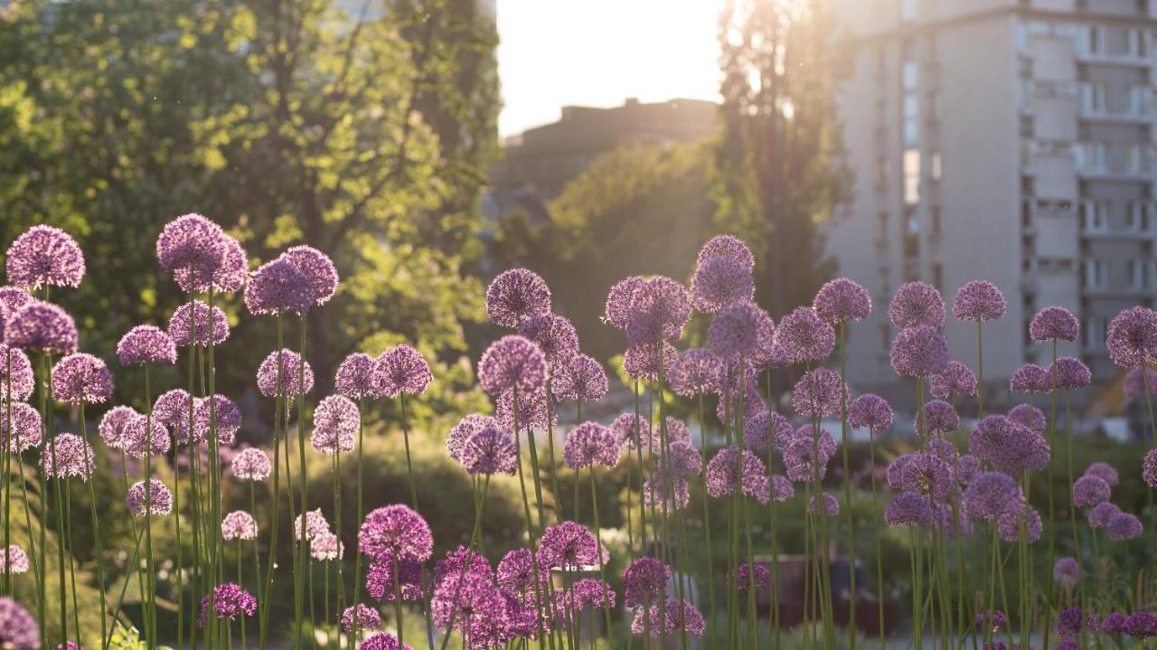 Sunny Apartment Warsaw Ngoại thất bức ảnh